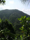 ALiLa Manggis boutique 